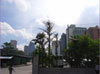 EIEN Power Language International Center