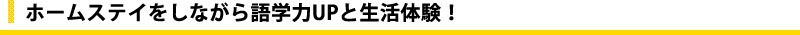 �z�[���X�e�C�����Ȃ����w��UP�Ɛ����̌��I