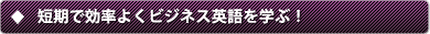 �Z���Ō����悭�r�W�l�X�p����w�т����I